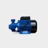 Imagen de BOMBA PERIFERI 1HP QB80 110-220V METROX